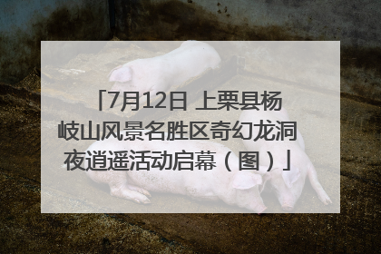 7月12日 上栗县杨岐山风景名胜区奇幻龙洞夜逍遥活动启幕（图）