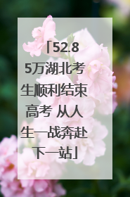 52.85万湖北考生顺利结束高考 从人生一战奔赴下一站