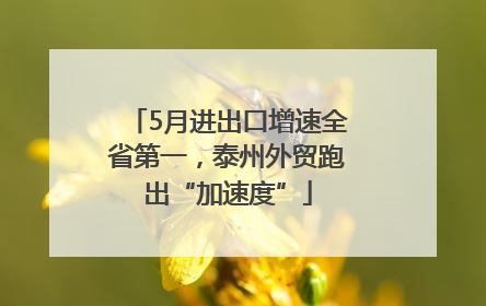 5月进出口增速全省第一，泰州外贸跑出“加速度”