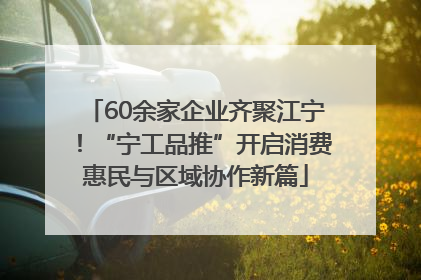 60余家企业齐聚江宁！“宁工品推”开启消费惠民与区域协作新篇