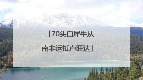 70头白犀牛从南非运抵卢旺达