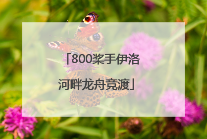 800桨手伊洛河畔龙舟竞渡