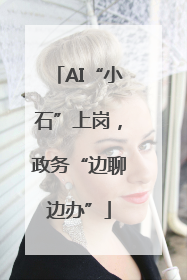 AI“小石”上岗，政务“边聊边办”