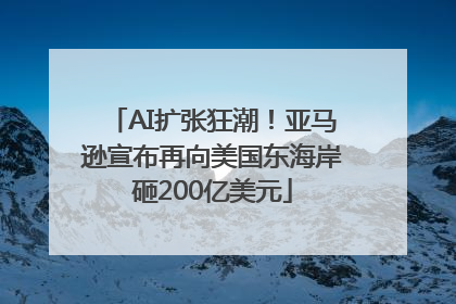 AI扩张狂潮！亚马逊宣布再向美国东海岸砸200亿美元