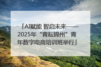 AI赋能 智启未来——2025年“青耘锦州”青年数字电商培训班举行