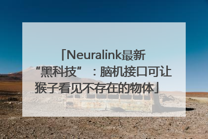 Neuralink最新“黑科技”：脑机接口可让猴子看见不存在的物体
