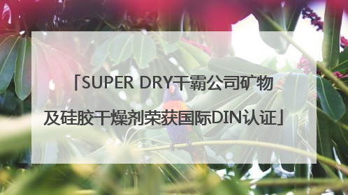 SUPER DRY干霸公司矿物及硅胶干燥剂荣获国际DIN认证